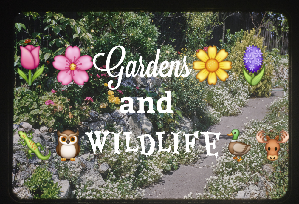 Gardens and Wildlife